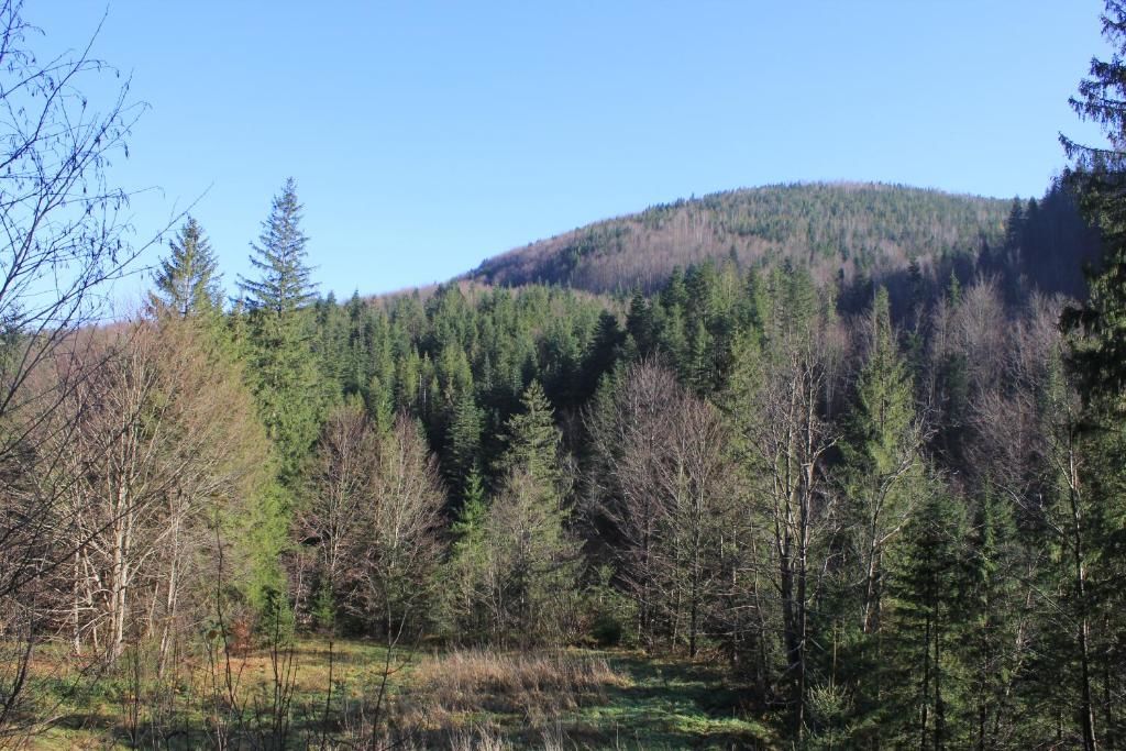 Дома для отпуска Котедж Mountain house Яремче-48